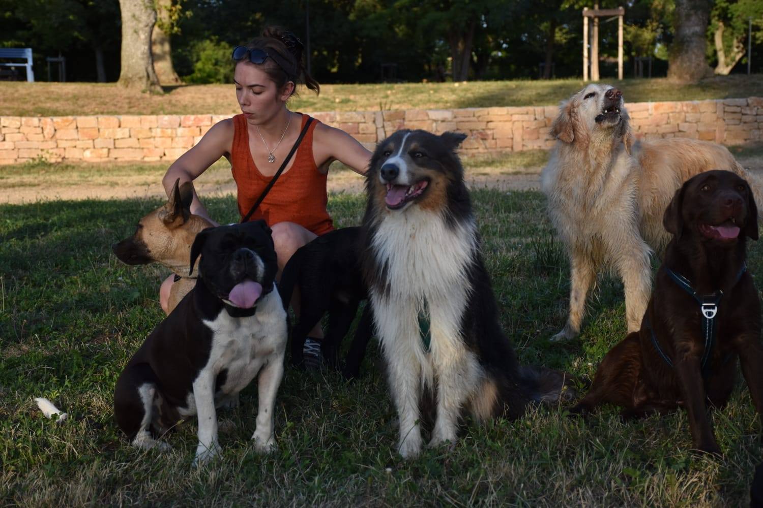 éducation et dressage de chiens Savoie